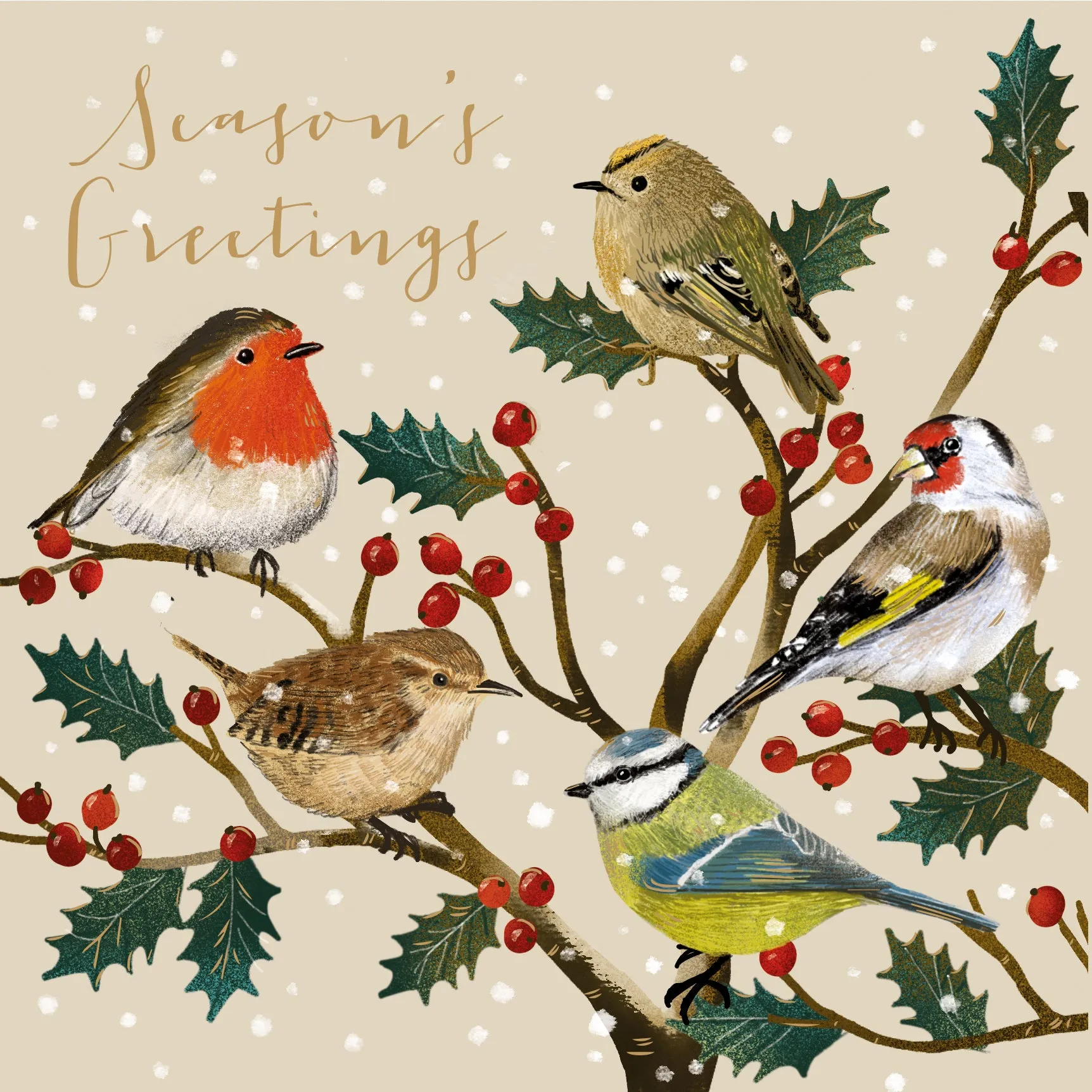 Birds on branches, pack of 10 cards