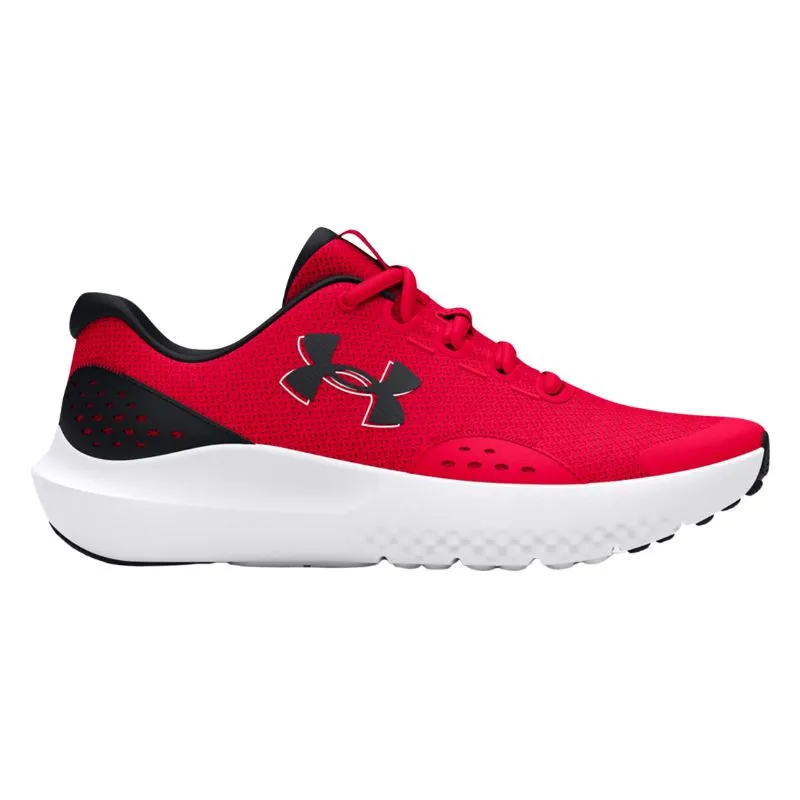 Boys Ua Bgs Surge 4