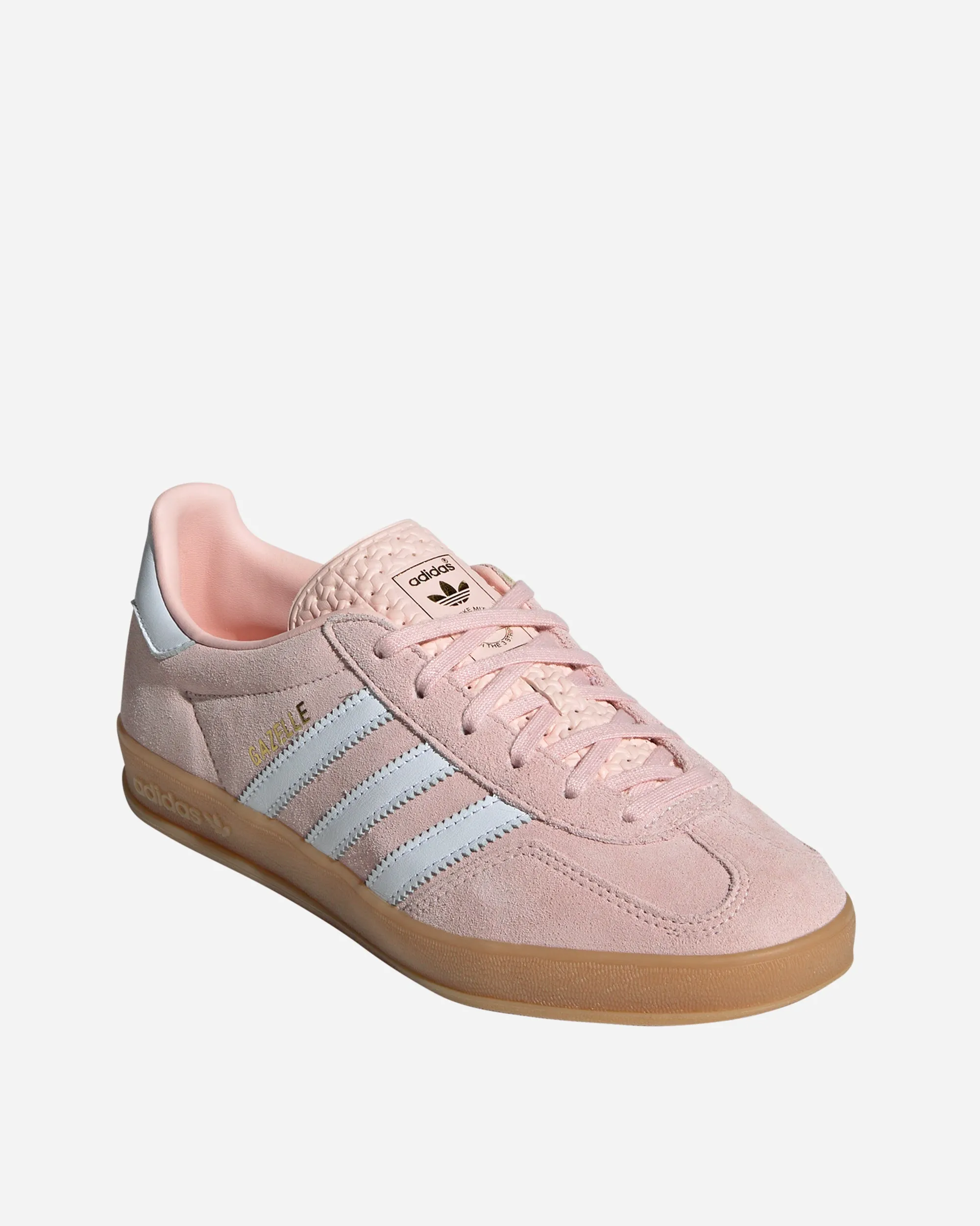 Gazelle Indoor